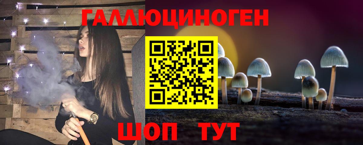 Солнечногорск  Псилоцибиновые грибы ЛСД  Вход с VPN 